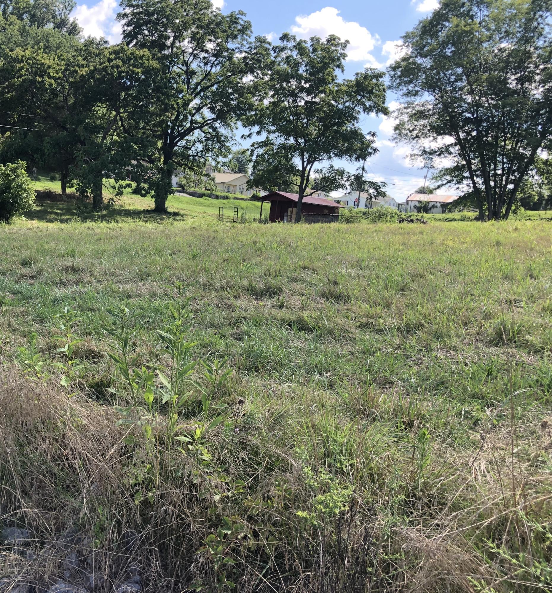 Tbd East Carters Valley Road, Unit 14 Gate City, VA 24251 - Photo 4 of 4 Photo Jul 26, 4 29 48 PM