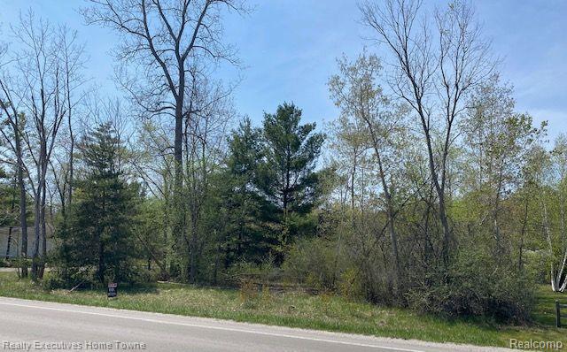 0 Range Road Smiths Creek, MI 48074 - Photo 3 of 4