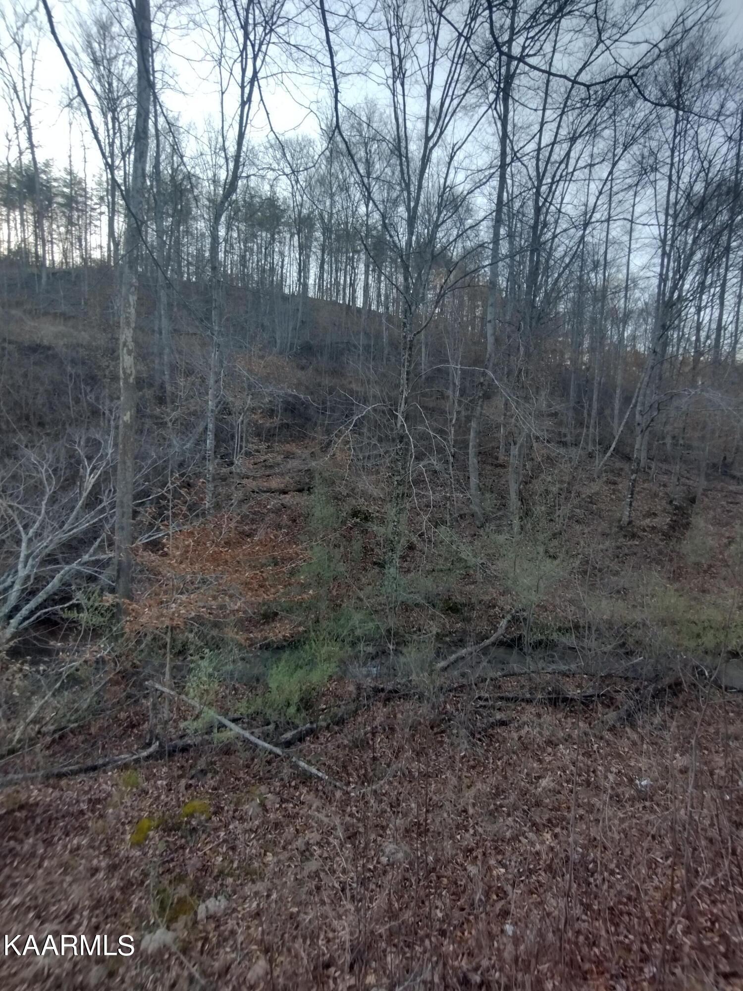 2946 Norma Road Huntsville, TN 37756 - Photo 39 of 48 IMG_20230227_172154356_HDR
