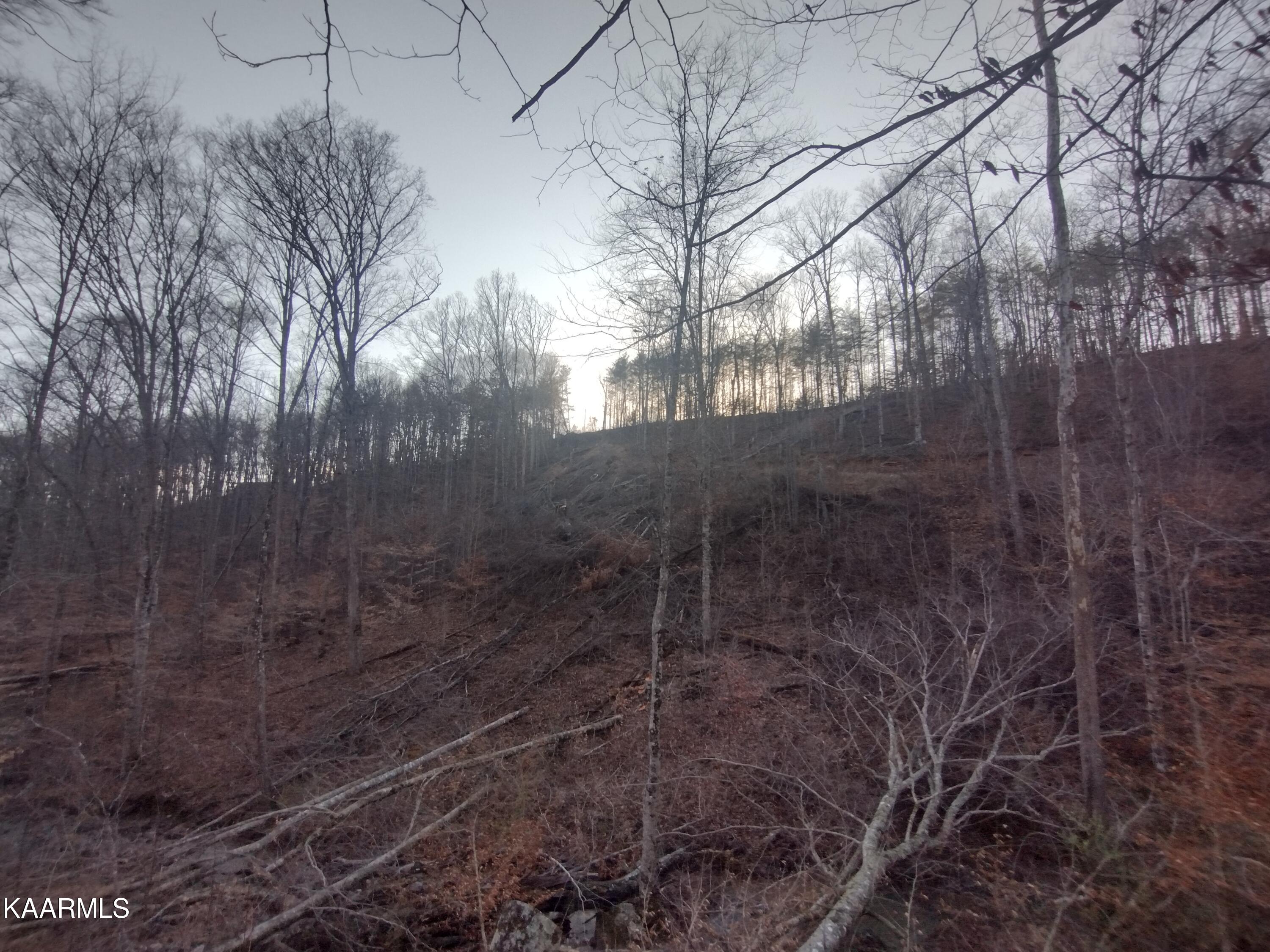 2946 Norma Road Huntsville, TN 37756 - Photo 47 of 48 IMG_20230227_172138039_HDR
