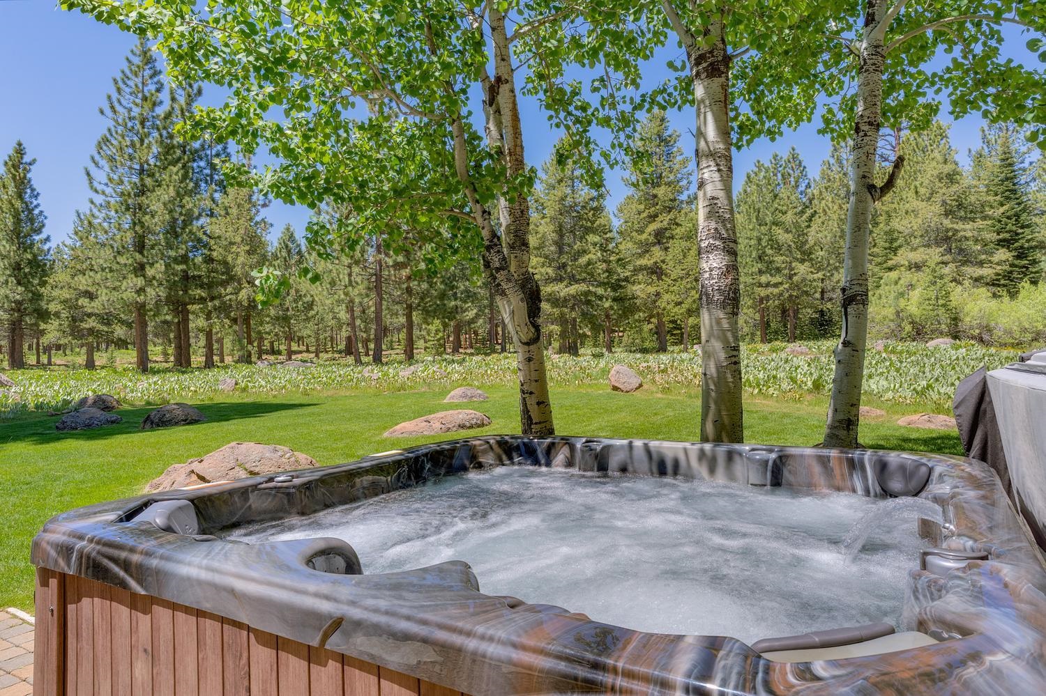 12420 Springbrook Place Truckee, CA 96161 - Photo 8 of 28