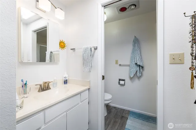 a bathroom with a sink vanity and toilet