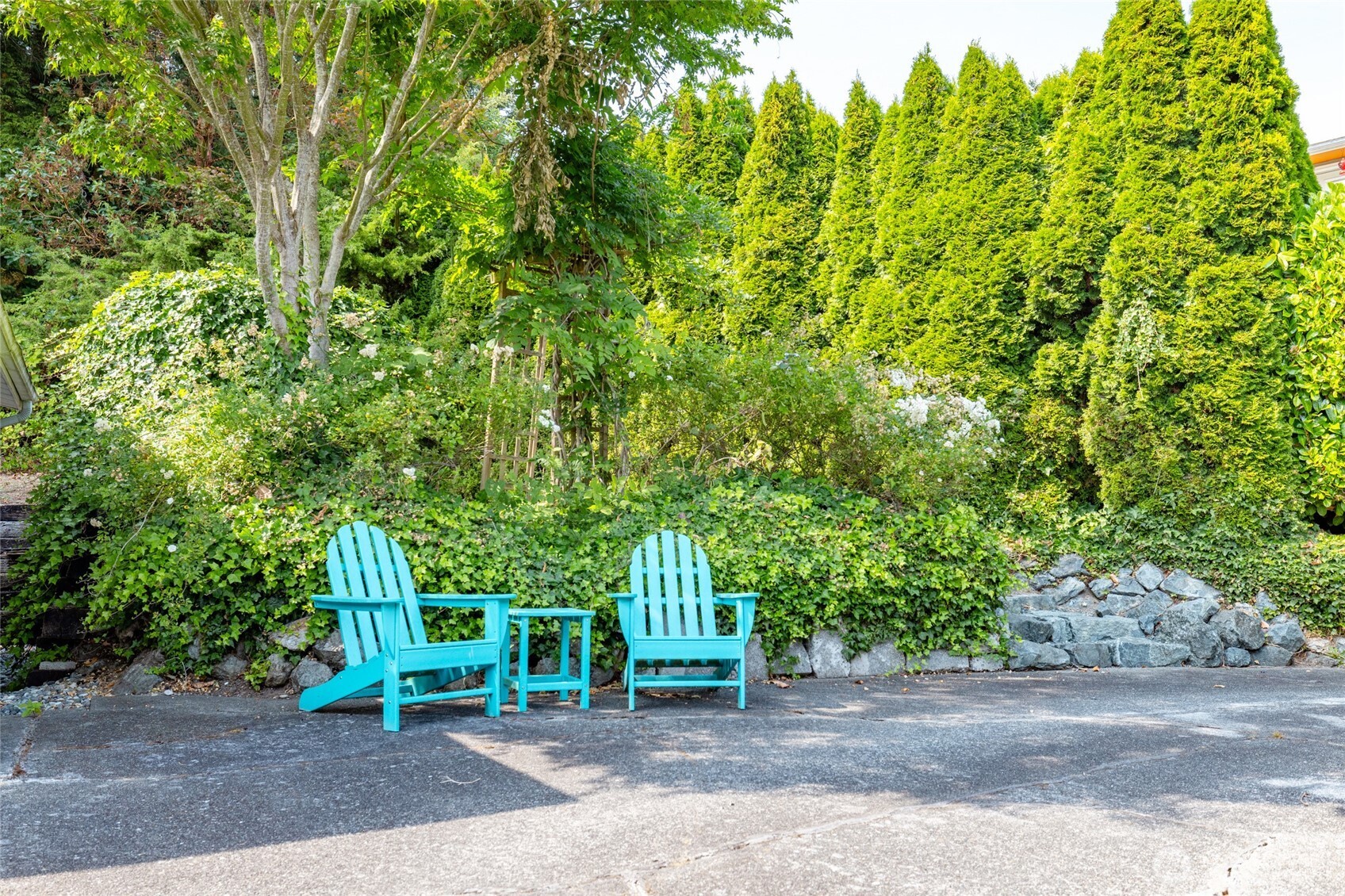 494 Colville Way La Conner, WA 98257 - Photo 30 of 39 a view of a park with plants and trees