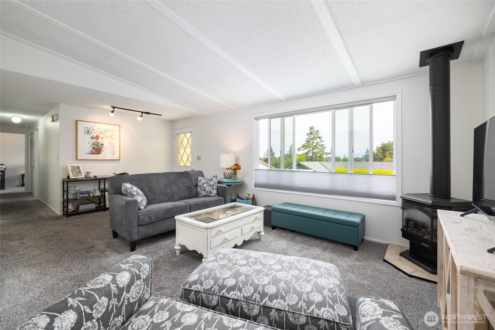 494 Colville Way La Conner, WA 98257 - Photo 9 of 39 a living room with furniture and a flat screen tv