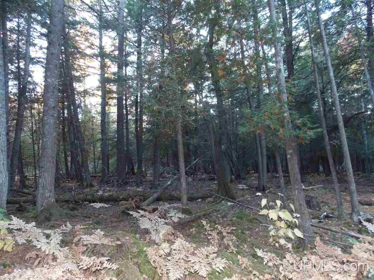 21360 Pte Abbaye Road Lanse, MI 49946 - Photo 2 of 9