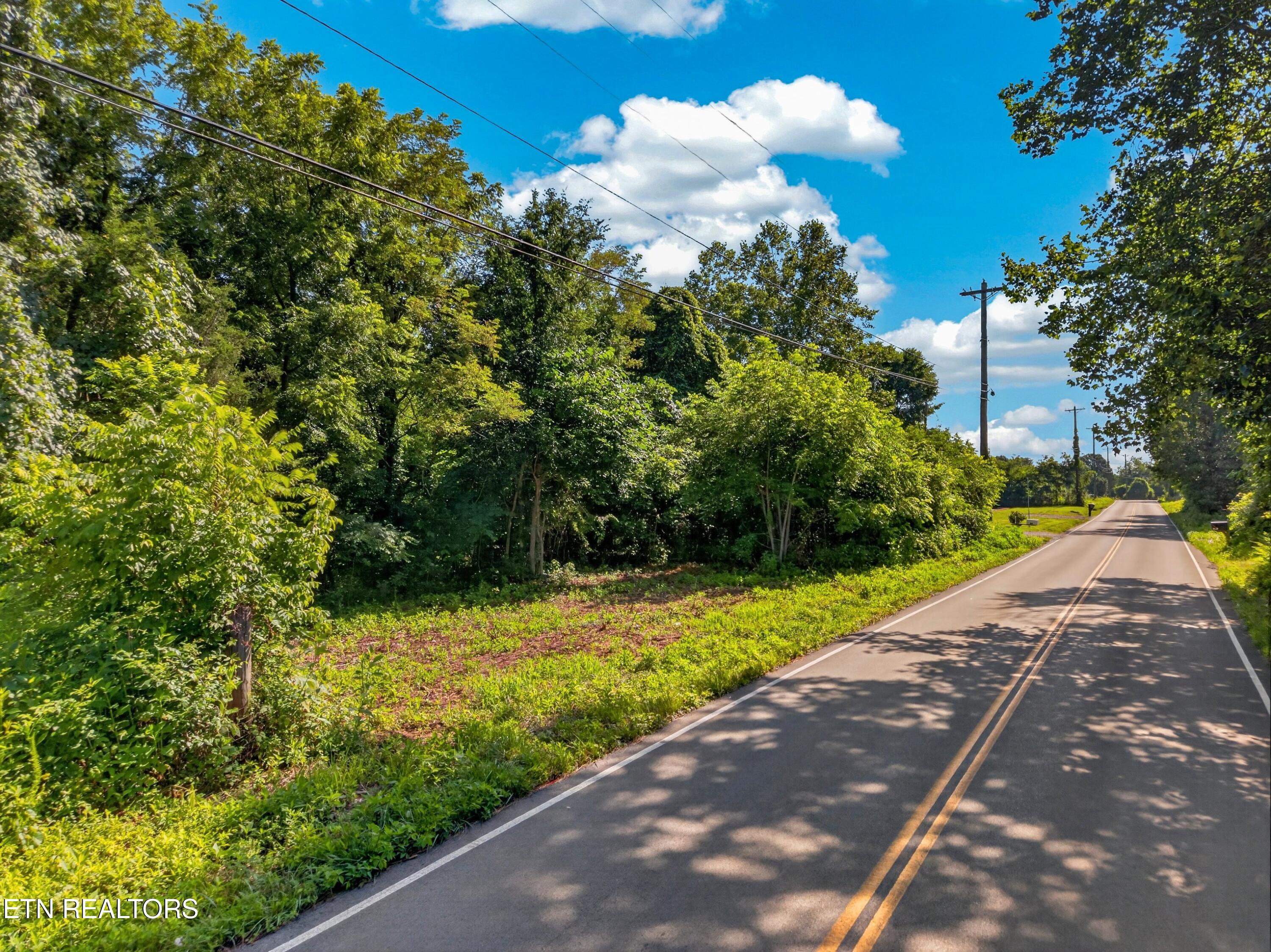 Rocky Springs Road Bean Station, TN 37708 - Photo 2 of 15 002-RockySpringsRoad-BeanStation-TN-3770