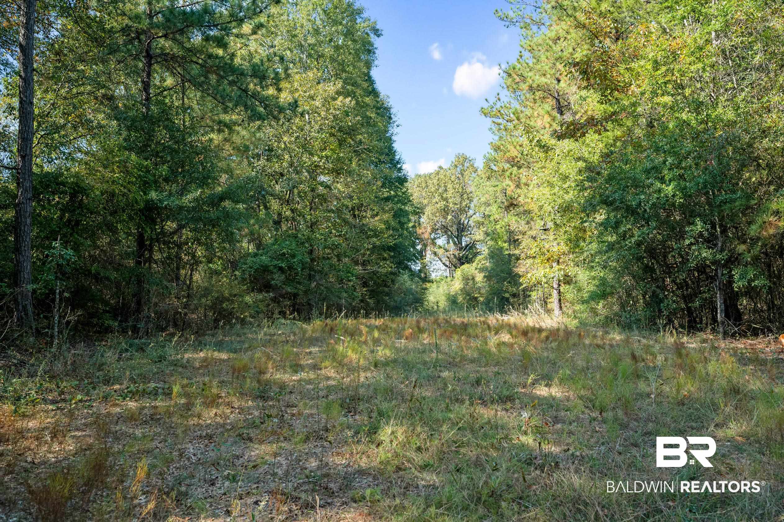 287 Green Road Castleberry, AL 36432 - Photo 34 of 53
