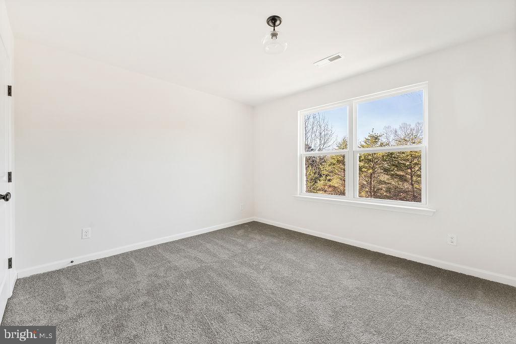 26038 Old Culpeper, VA 22701 - Photo 33 of 57