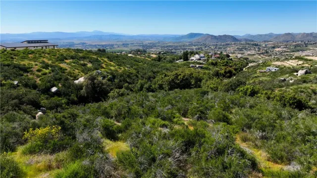 a view of a city with lush green forest