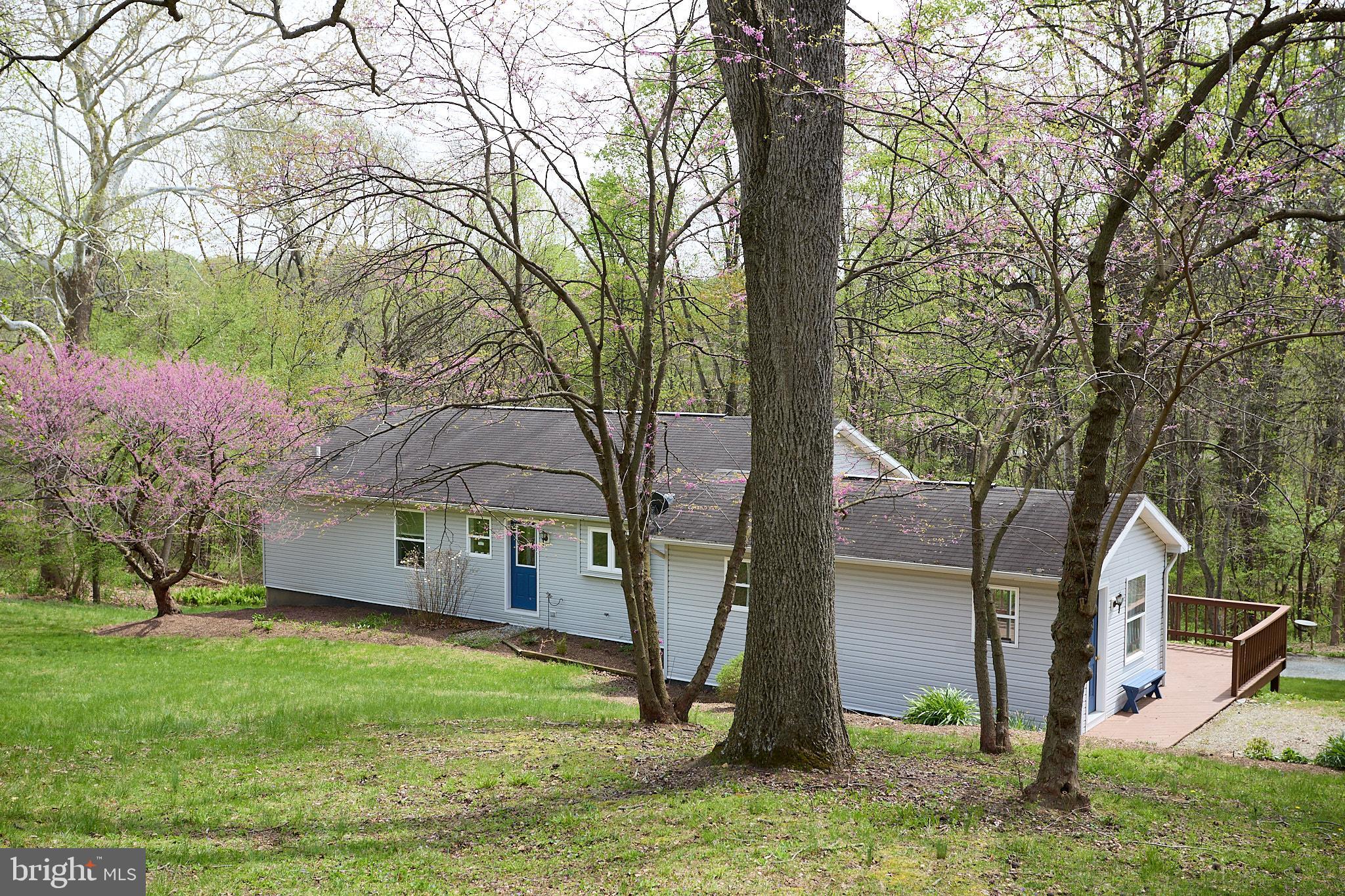 1089 Nesbitt Road Colora, MD 21917 - Photo 48 of 78 a view of a house with a yard