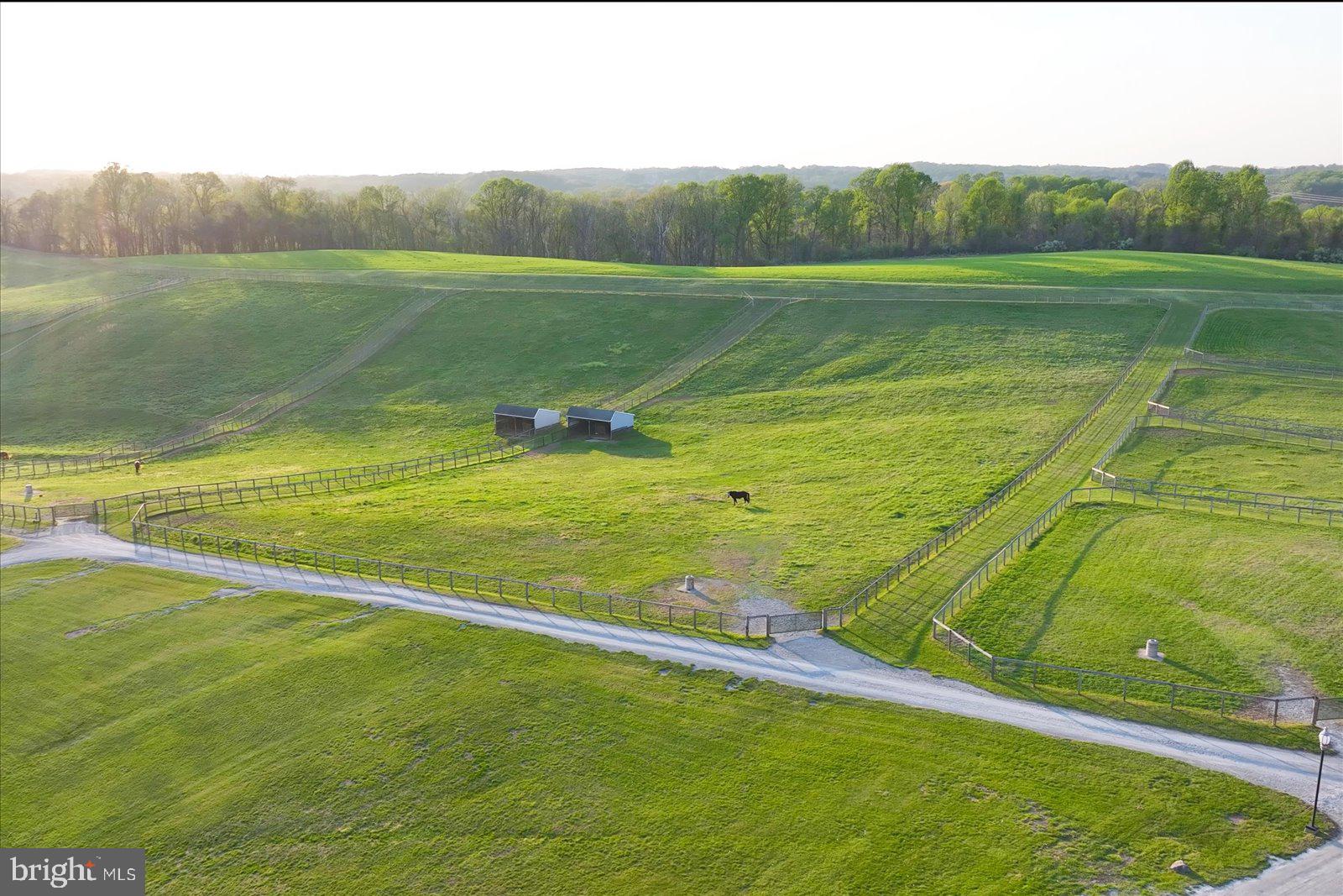 1089 Nesbitt Road Colora, MD 21917 - Photo 71 of 78