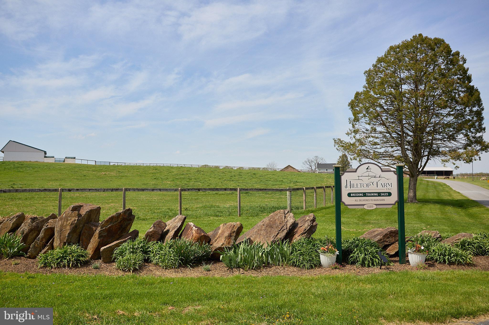 1089 Nesbitt Road Colora, MD 21917 - Photo 78 of 78 a view of a garden with a lake