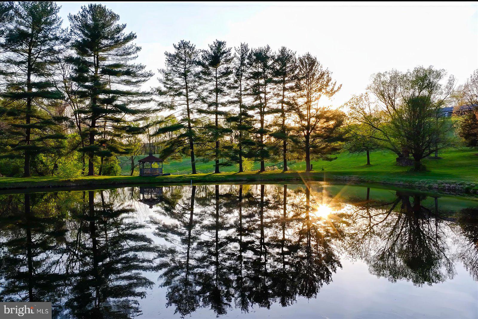 1089 Nesbitt Road Colora, MD 21917 - Photo 8 of 78 Pond