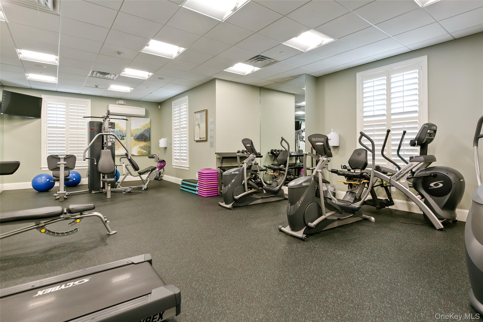 56 Spring Drive Seaford, NY 11783 - Photo 33 of 42 a view of a room with gym equipment