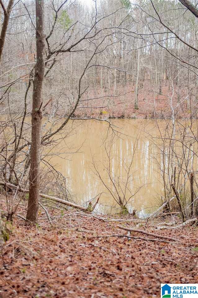 1085 Jones Chapel Loop Springville, AL 35146 - Photo 23 of 32