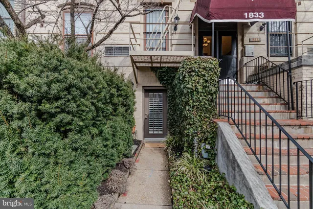 a view of a pathway of the house