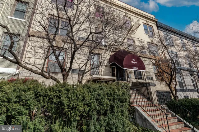 a view of backyard with table and chairs and potted plants