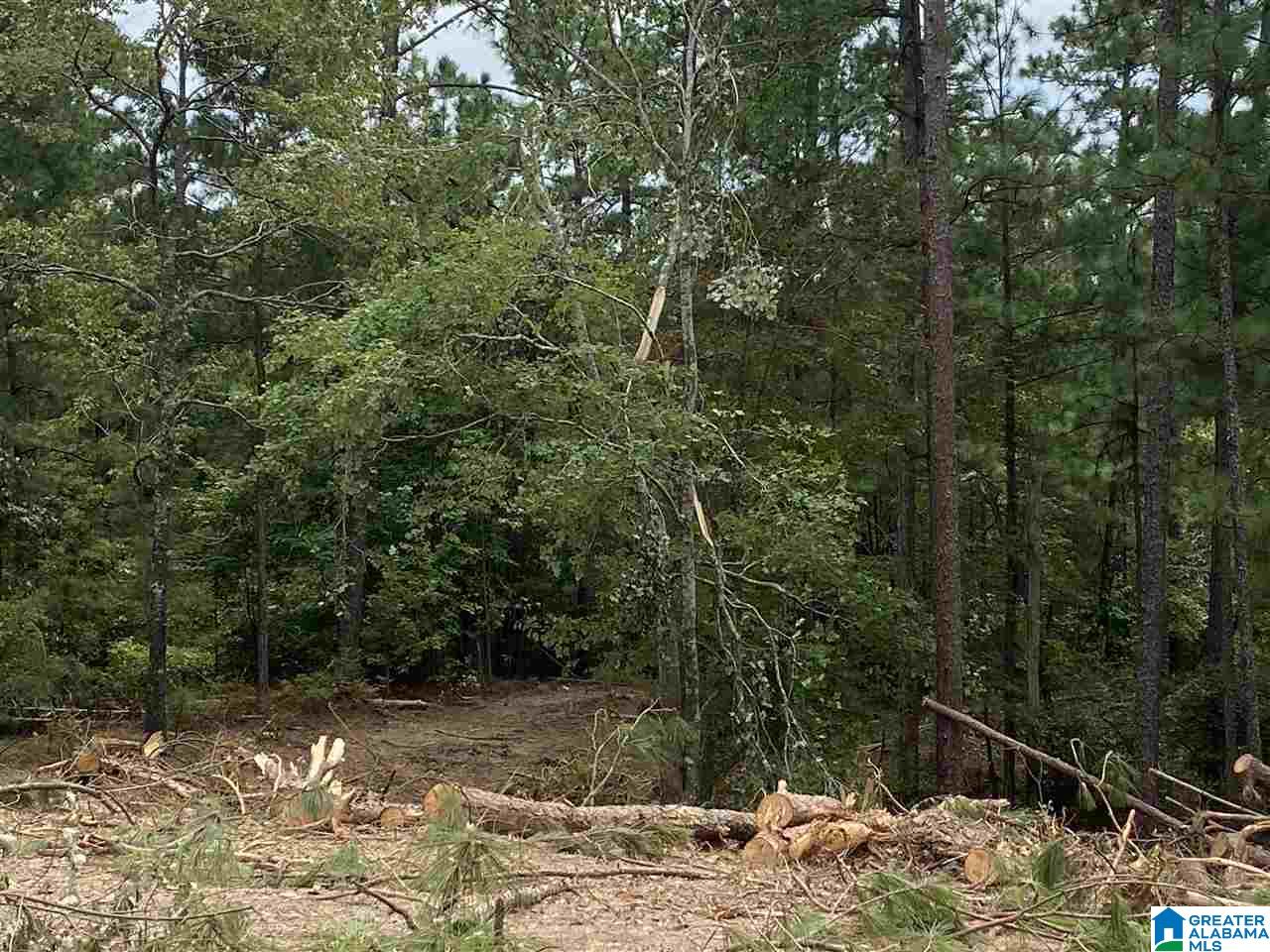 0 County Road 199, Unit 19 / ACRES Clanton, AL 35046 - Photo 15 of 17