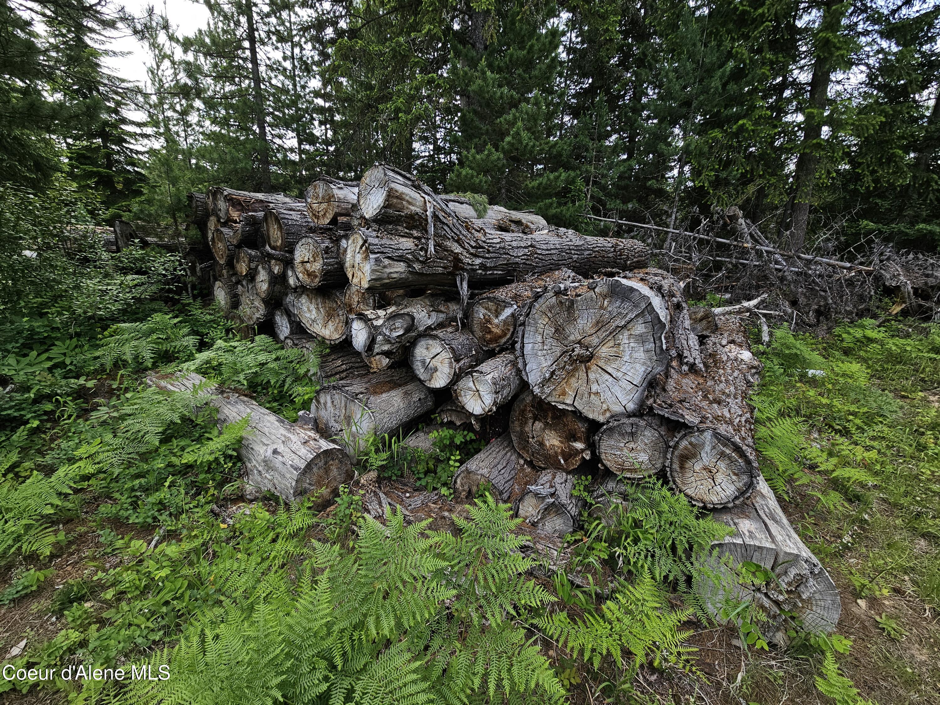 109 Geronimo Lane Sandpoint, ID 83864 - Photo 29 of 36 Firewood