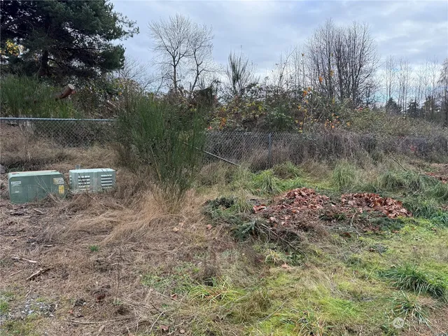 a view of a yard with green space