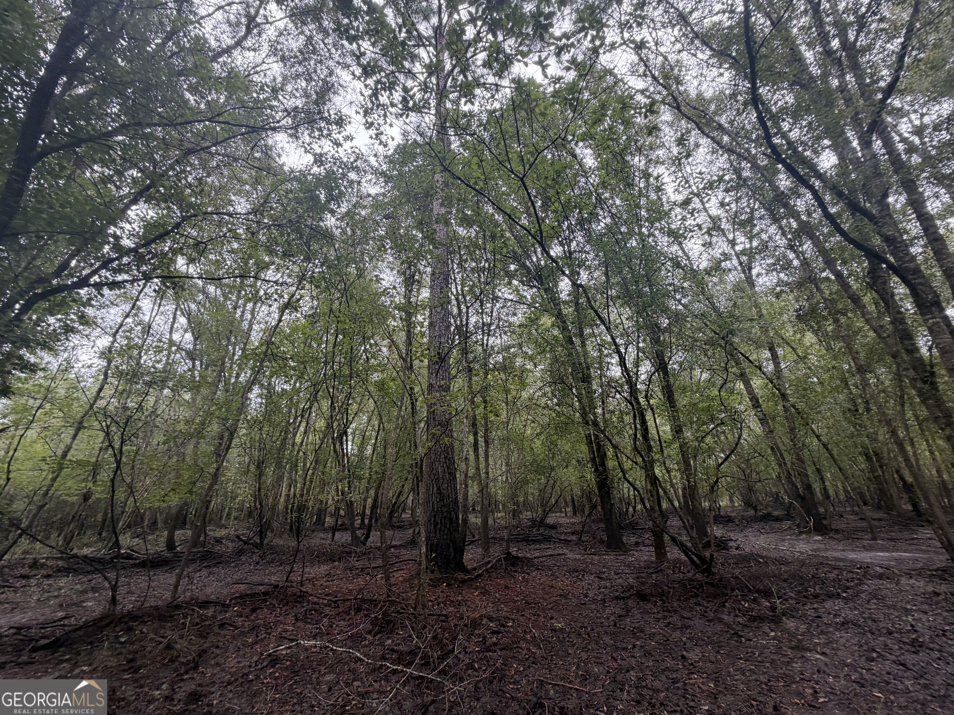 0 Jamestown Road Waycross, GA 31503 - Photo 80 of 92 Gallery Image 80