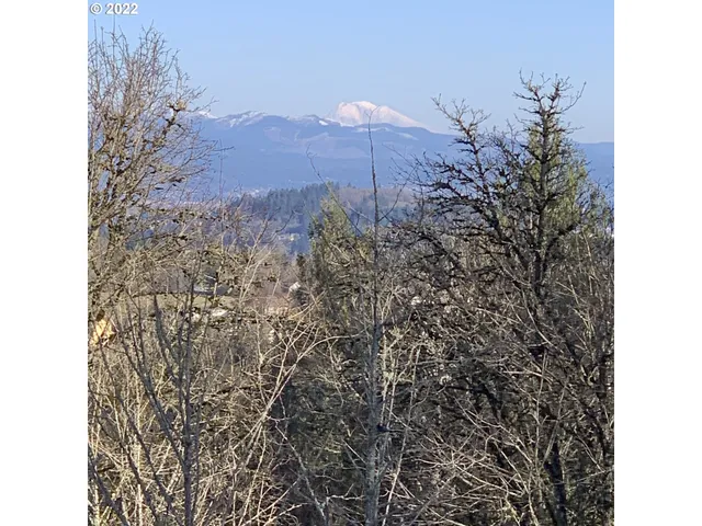 a view of a backyard of a house with a yard and mountain view