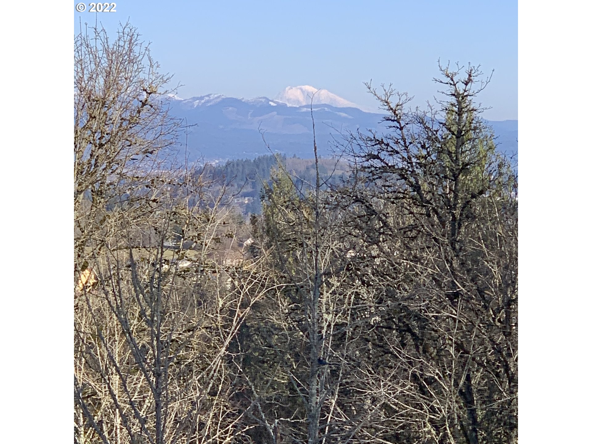 a view of a backyard of a house with a yard and mountain view