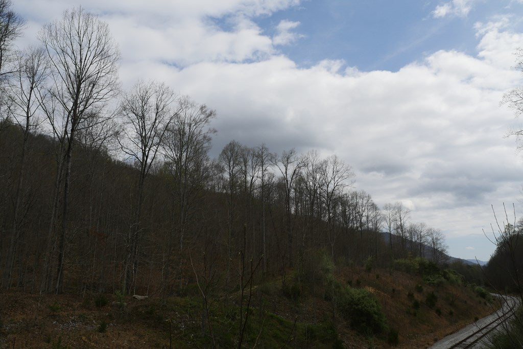 Tbd Valley Spring Road, Unit 1 Jonesville, VA 24263 - Photo 13 of 55 Gallery Image 13