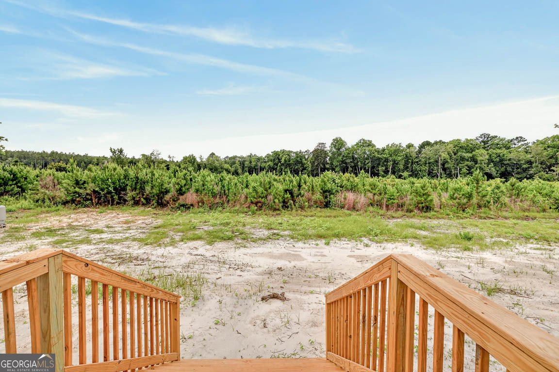 6401 Riverside Road, Unit TRACT 2 Nahunta, GA 31553 - Photo 32 of 42