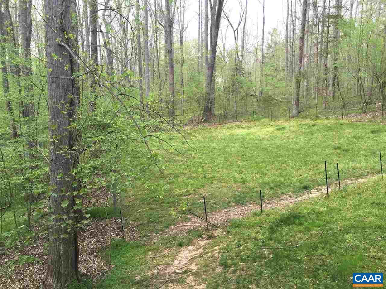 335 Larkspur Road Ruckersville, VA 22968 - Photo 22 of 31 a view of outdoor space and yard