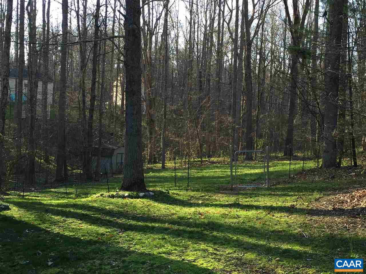 335 Larkspur Road Ruckersville, VA 22968 - Photo 3 of 31 a view of a park with a large trees