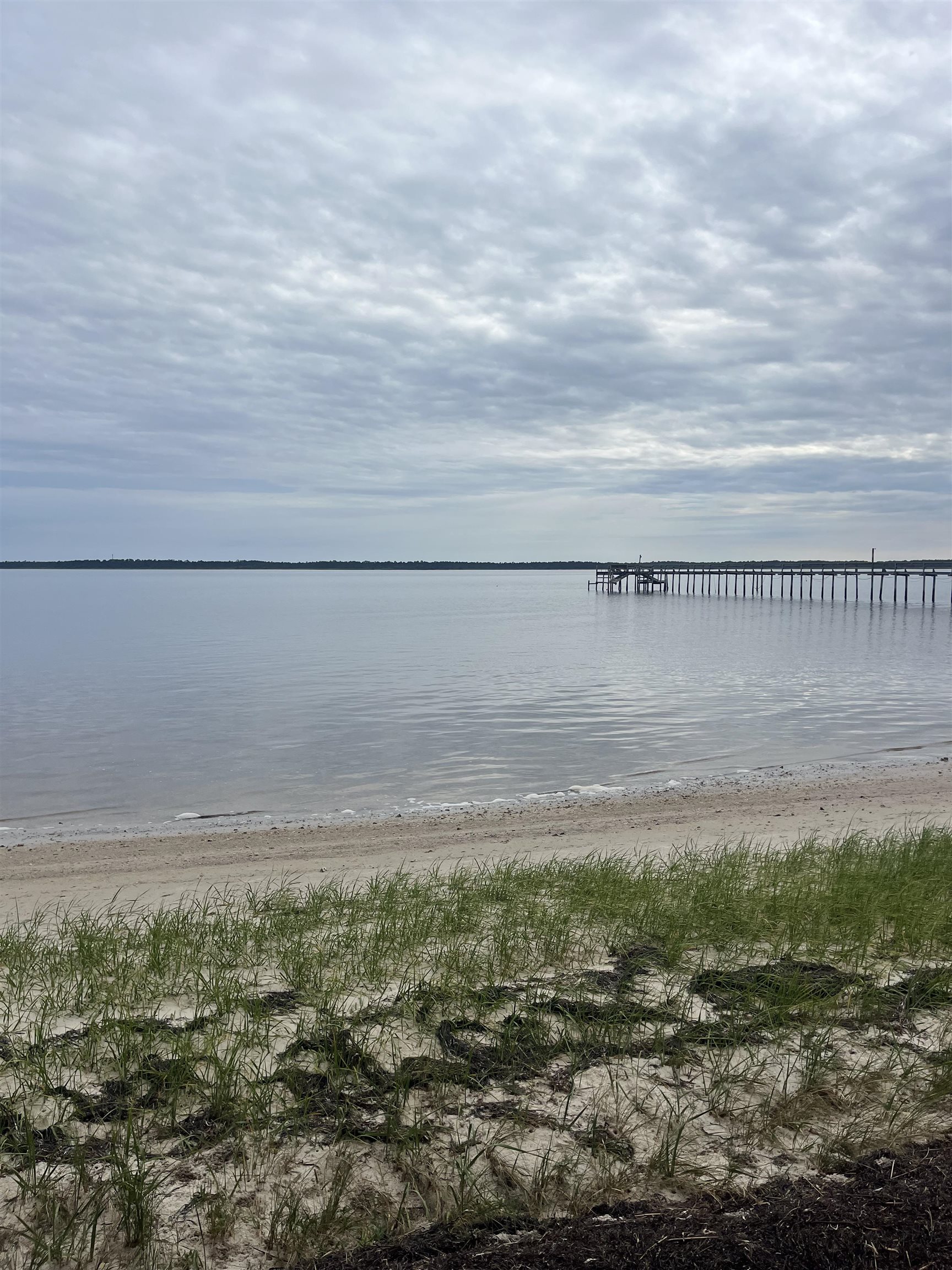 599 Mashes Sands Road Panacea, FL 32346 - Photo 1 of 7