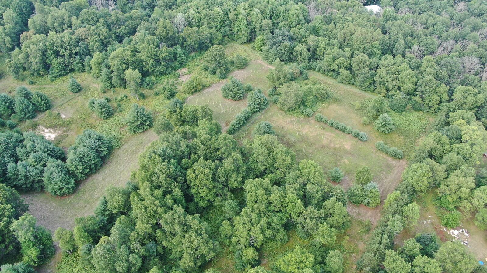 22870 13 Mile Road Big Rapids, MI 49307 - Photo 12 of 20 12