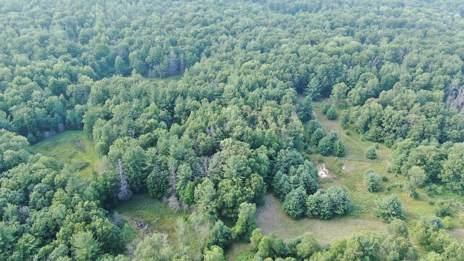 22870 13 Mile Road Big Rapids, MI 49307 - Photo 13 of 20 13