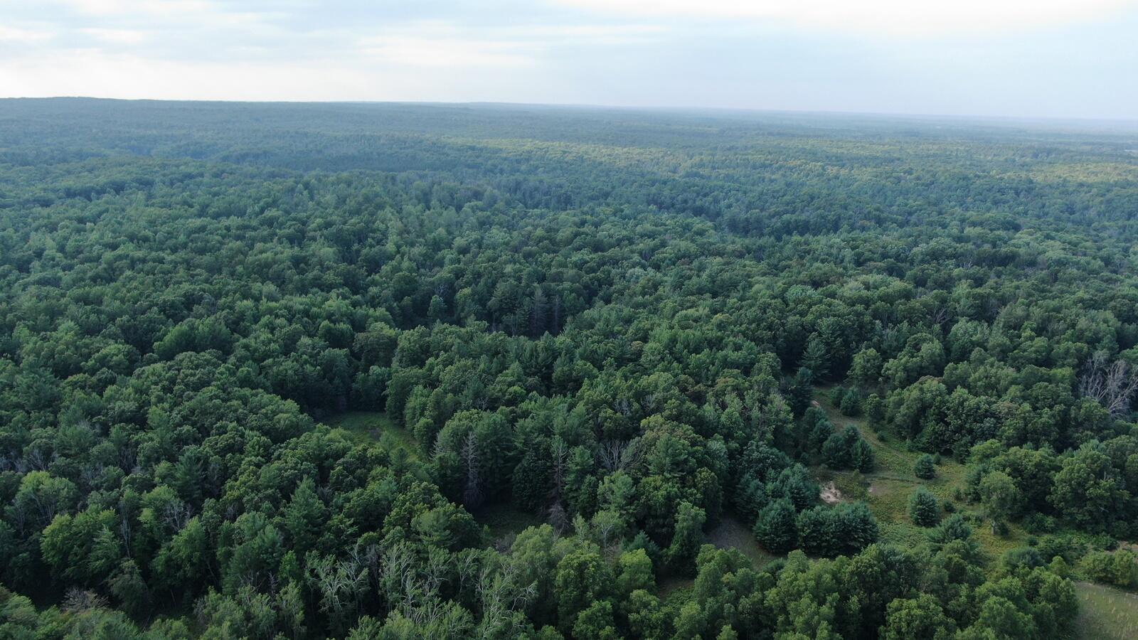 22870 13 Mile Road Big Rapids, MI 49307 - Photo 15 of 20 15
