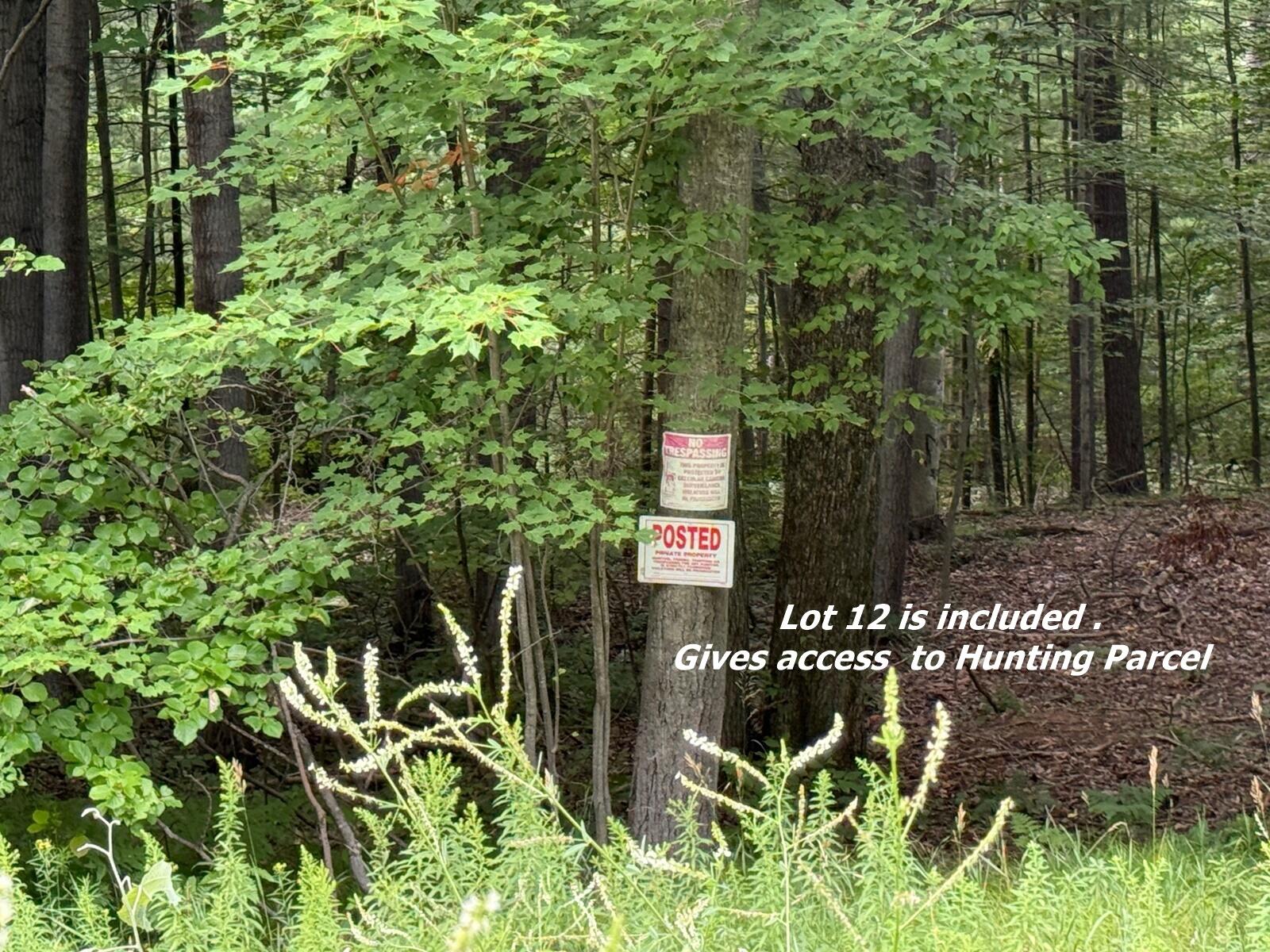 22870 13 Mile Road Big Rapids, MI 49307 - Photo 16 of 20 16