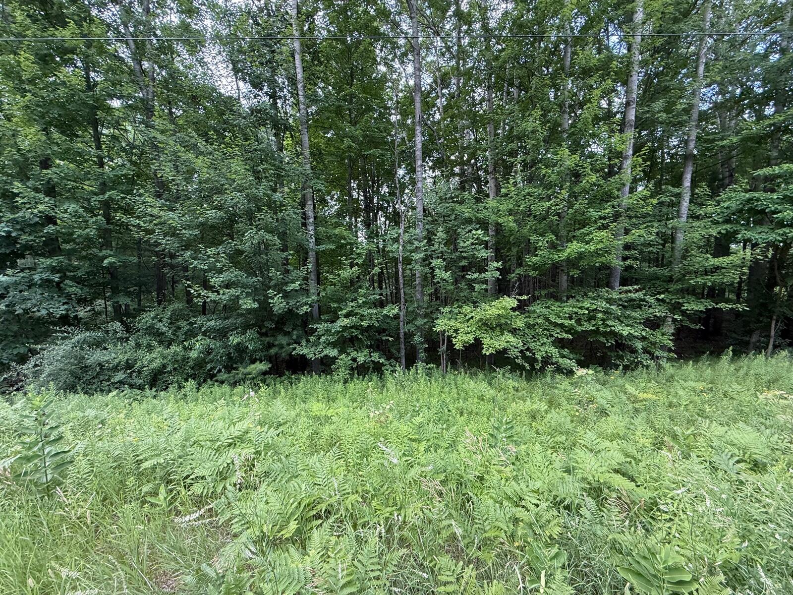 22870 13 Mile Road Big Rapids, MI 49307 - Photo 17 of 20 17