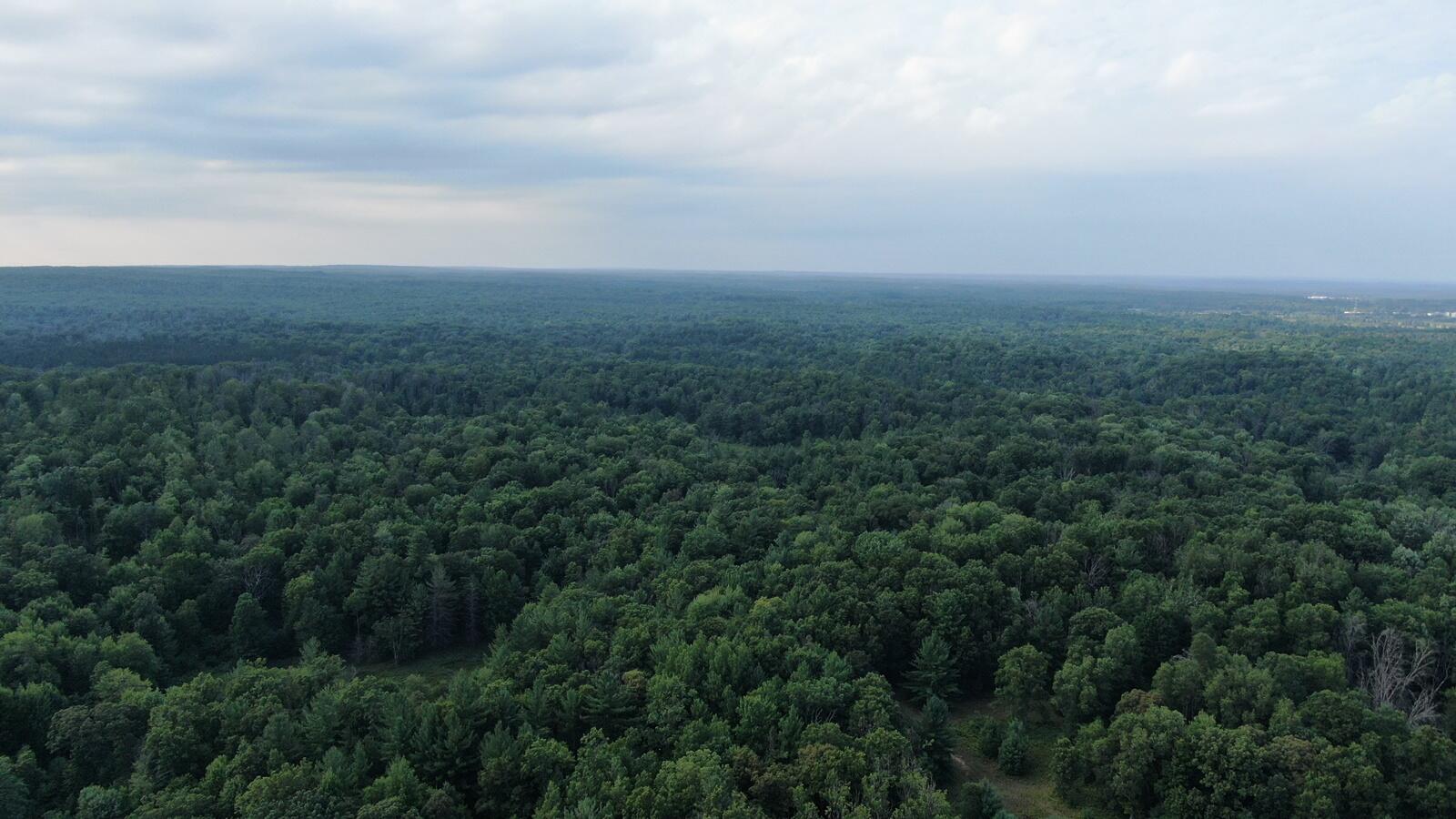 22870 13 Mile Road Big Rapids, MI 49307 - Photo 20 of 20 20