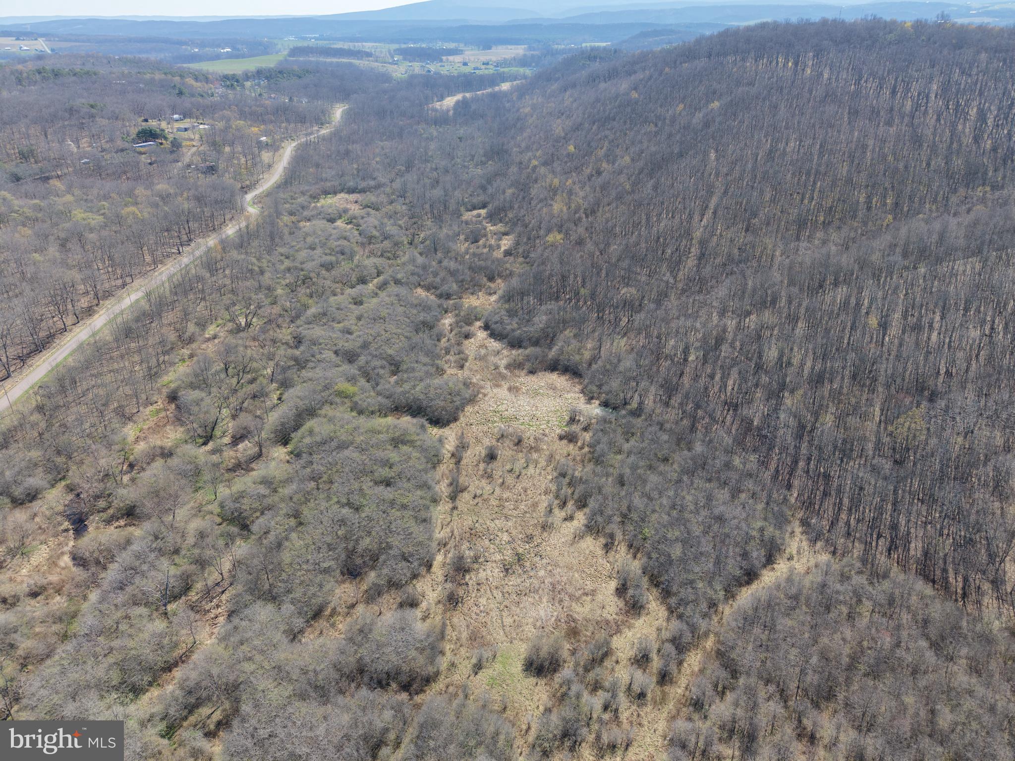 129-acres Black Hollow Road Schellsburg, PA 15559 - Photo 17 of 72 a view of a dry yard with trees