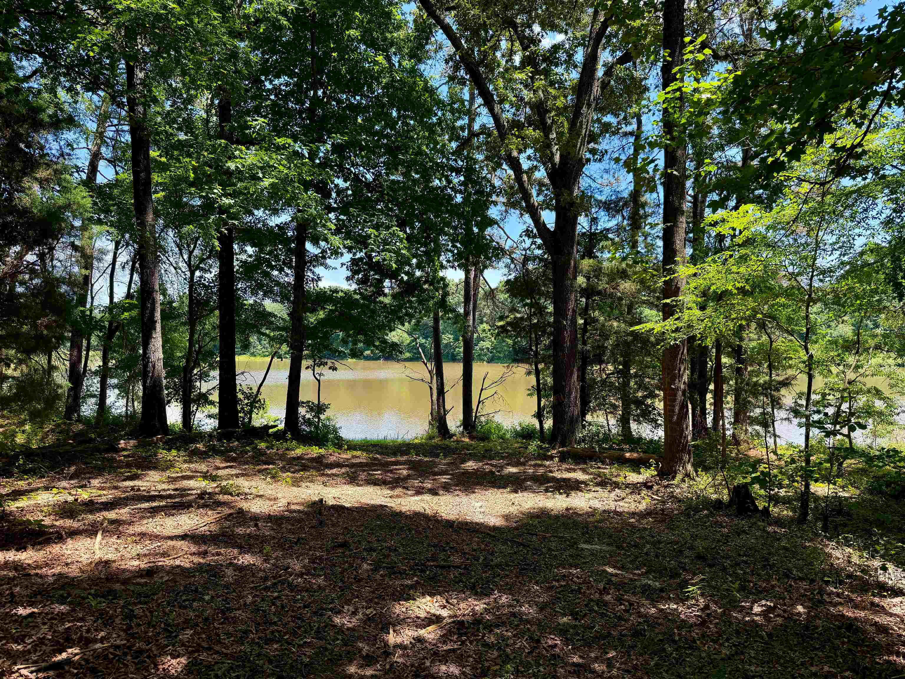 40.37-ac Smyrna Road Somerville, TN 38068 - Photo 6 of 16