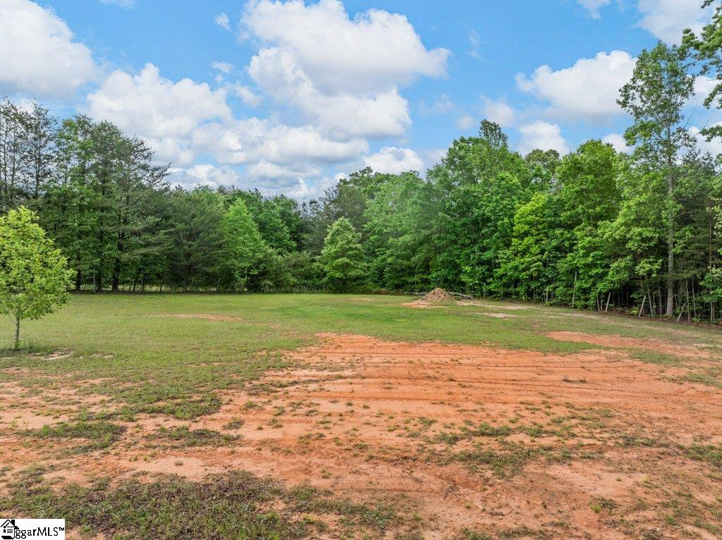 530 Hulon Howard Road Landrum, SC 29356 - Photo 37 of 48