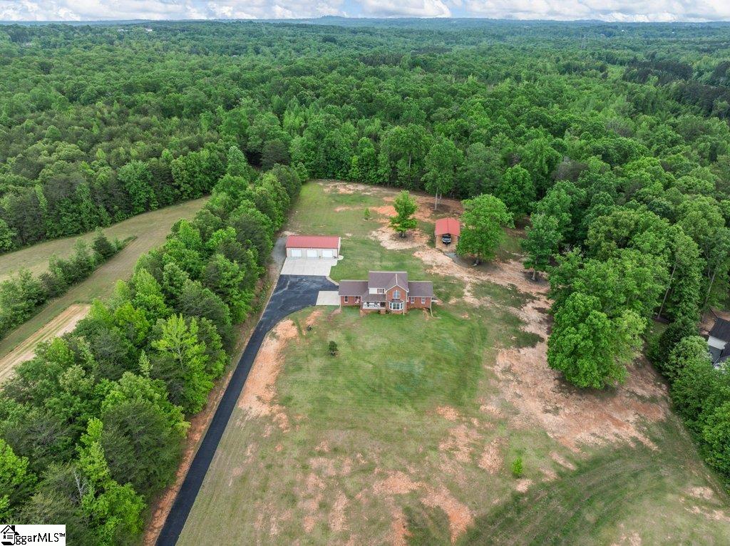 530 Hulon Howard Road Landrum, SC 29356 - Photo 38 of 48
