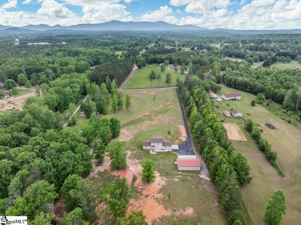 530 Hulon Howard Road Landrum, SC 29356 - Photo 41 of 48