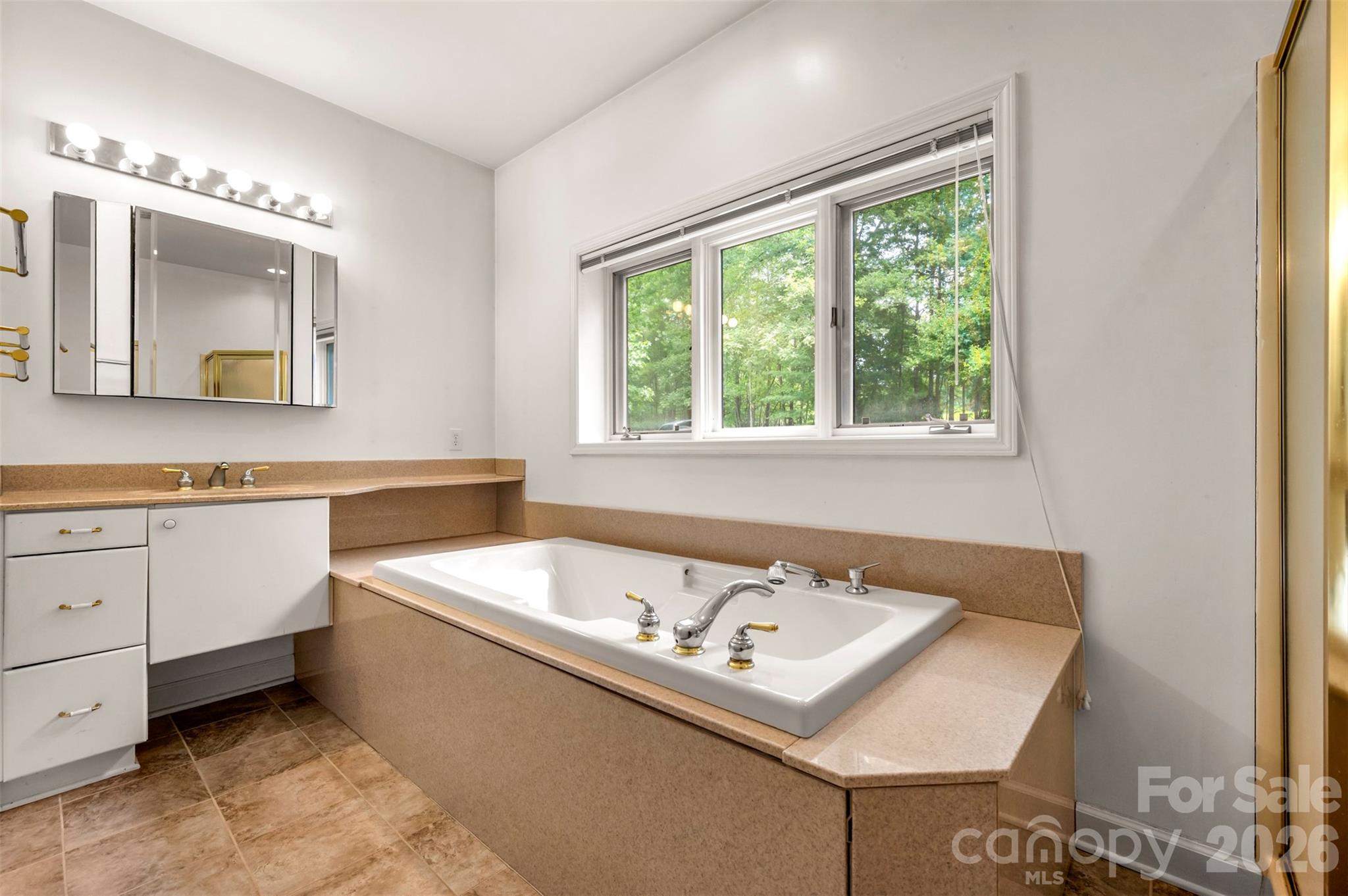 441 Lower Ridgeview Road Columbus, NC 28722 - Photo 26 of 48