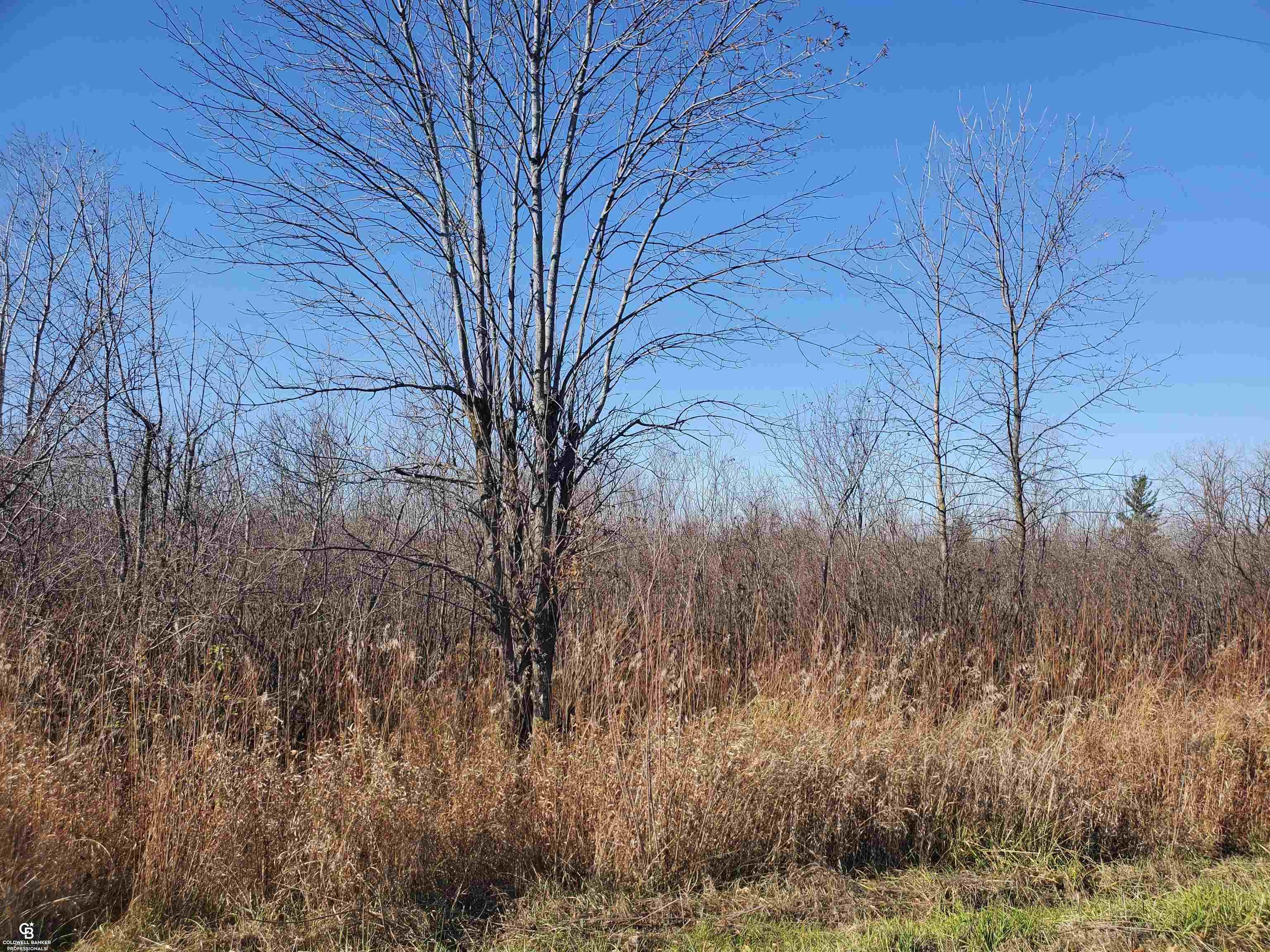 Mason Rd Ville Yale, MI 48097 - Photo 18 of 21