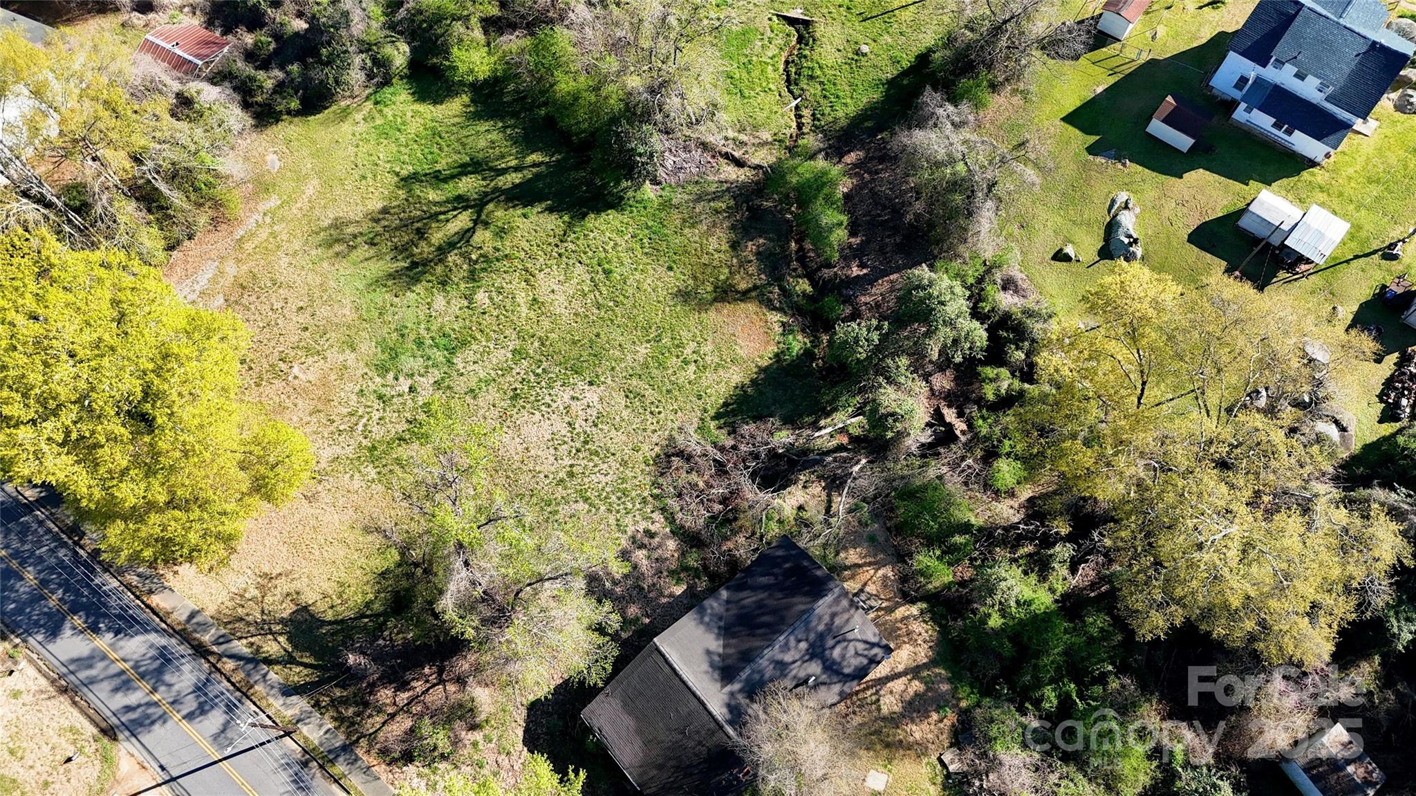 a view of a garden with plants