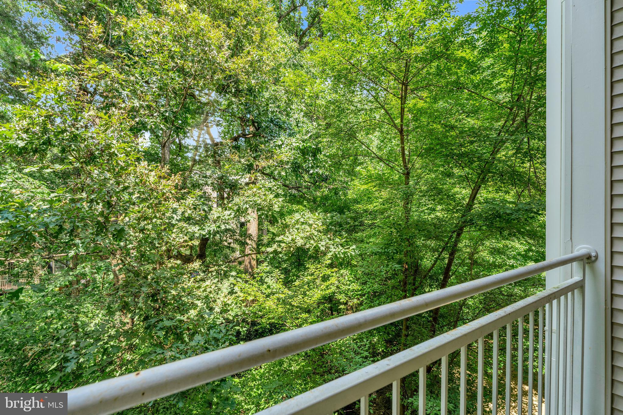 1505 North Point Drive, Unit 203 Reston, VA 20194 - Photo 6 of 25 Gallery Image 6