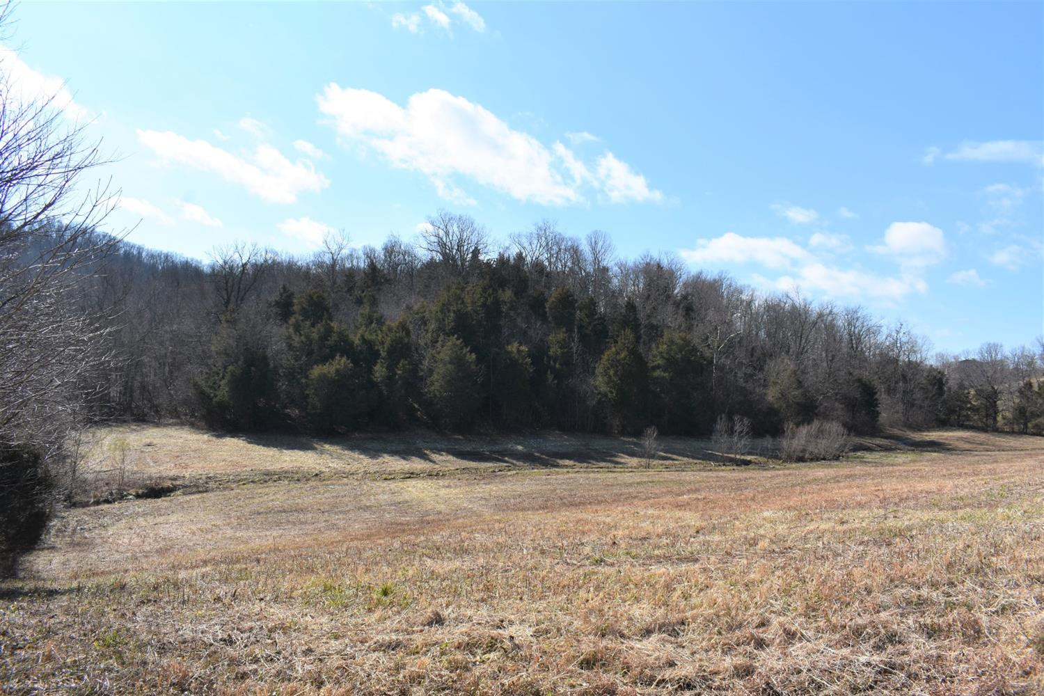 0 Brock Road Paint Lick, KY 40461 - Photo 1 of 21 Photo 1