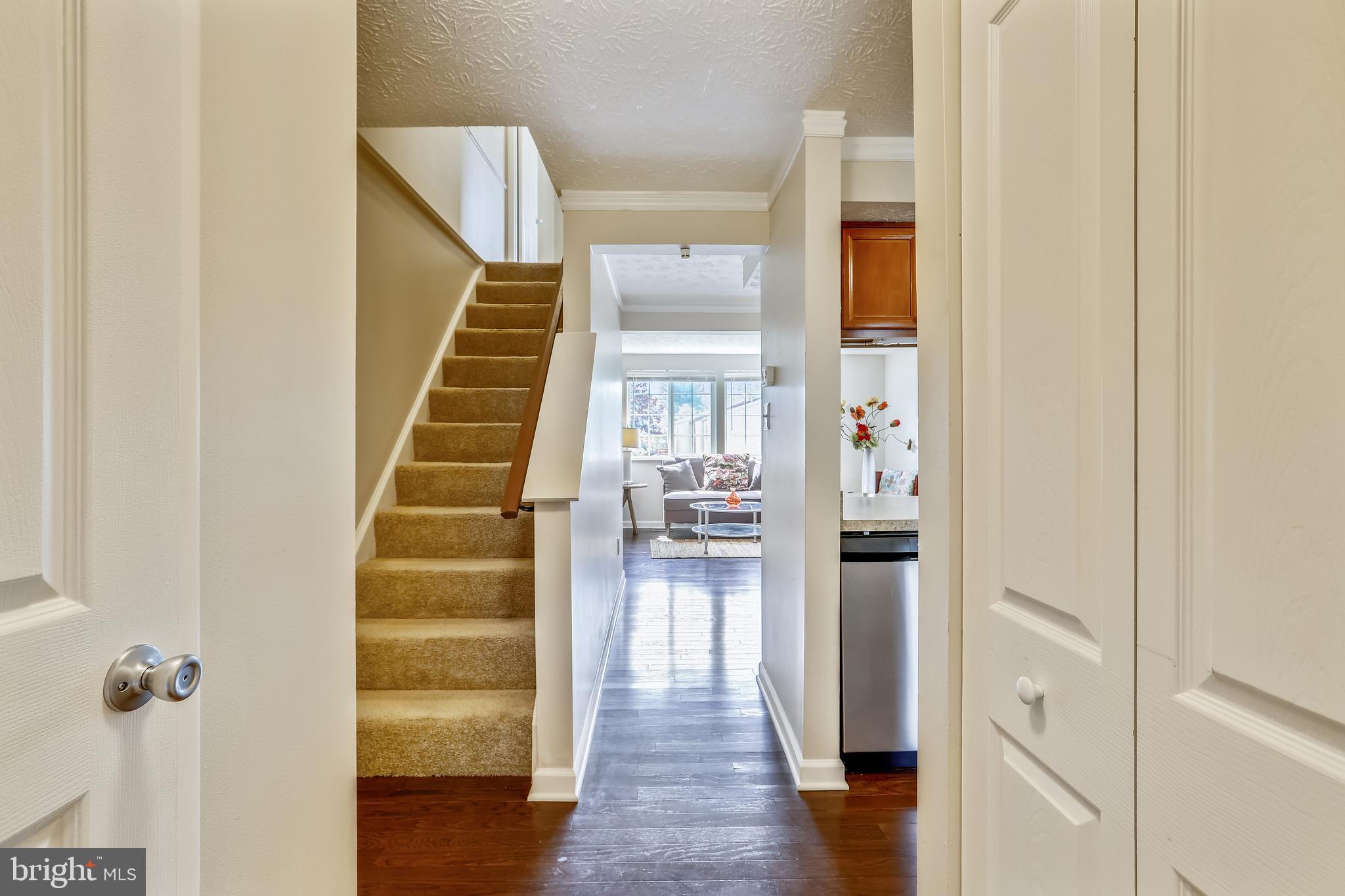 7 Farmcrest Court Silver Spring, MD 20905 - Photo 18 of 42 View when you walk in your Front Door!