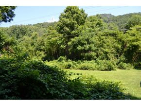Tbd Right Poor Valley Road Pennington Gap, VA 24277 - Photo 1 of 14 Photo 1